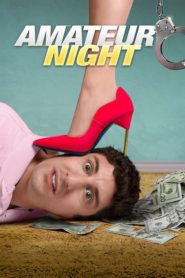 Nonton Amateur Night 2016