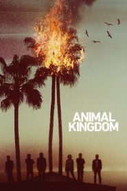 Nonton Animal Kingdom