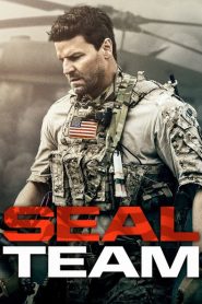 Nonton SEAL Team