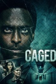 Nonton Caged