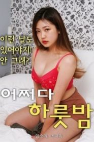 Nonton Occasionally One Night 2021