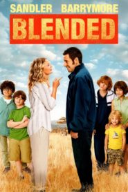 Nonton Blended 2014