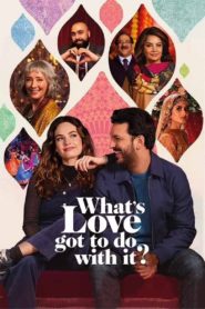 Nonton What’s Love Got to Do with It? 2022