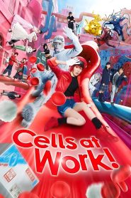 Nonton Cells at Work 2024