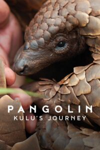 Nonton Pangolin: Kulu’s Journey 2025