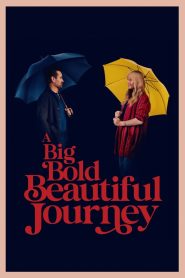 Nonton A Big Bold Beautiful Journey 2025